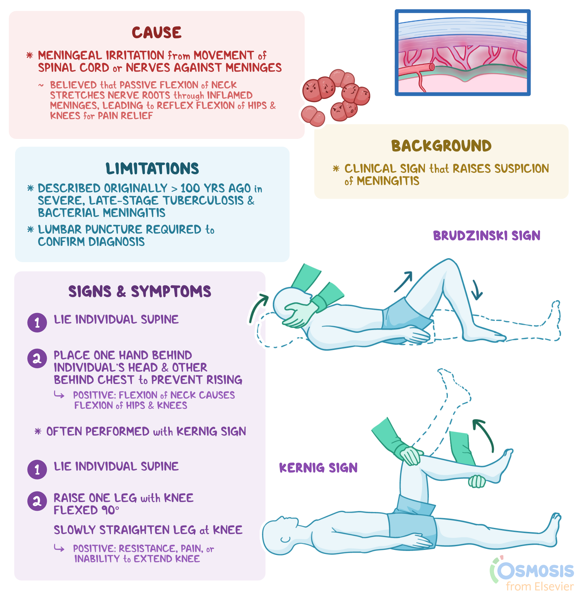 170+ Hilarious Short Family Quotes for Every Crazy Household